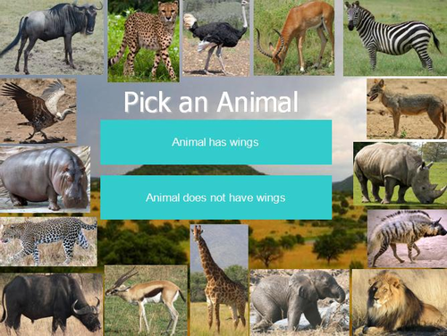 Savannah Animals Interactive Identification Game