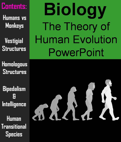 presentation on human evolution project