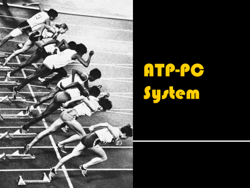 A-level P.E Exercise and Sports Physiology - The ATP / PC energy system