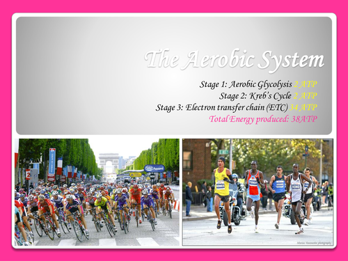 A-level P.E Exercise and Sports Physiology - The Aerobic energy system