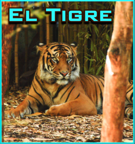 El Tigre - PowerPoint