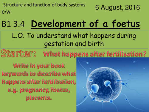 Activate 1:  B1:  3.4  Development of a foetus