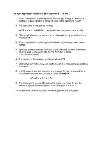 The light dependent reaction of photosynthesis - DRAW IT!