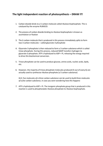The light independent reactions of photosynthesis - DRAW IT!