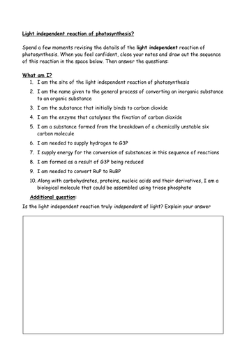 Light independent reactions of photosynthesis - 'what am I?' quiz