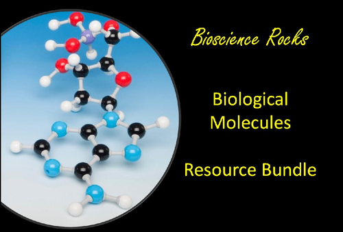 Biological Molecules Bundle