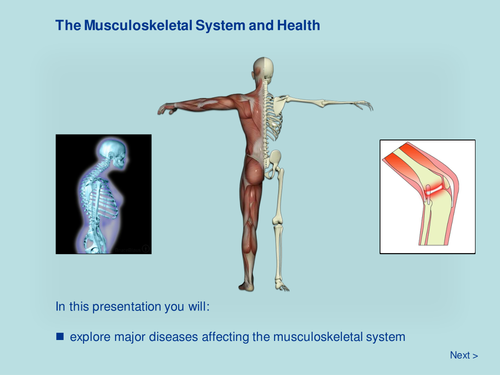 The Musculoskeletal System and Health