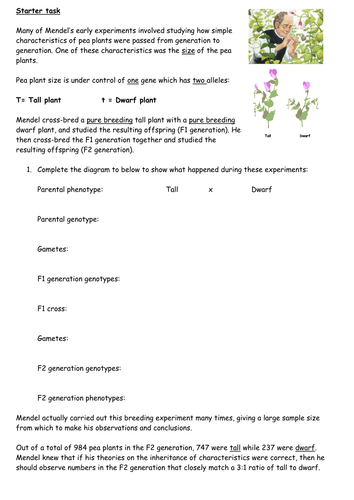 Biology: Gregor Mendel by greenAPL - Teaching Resources - TES