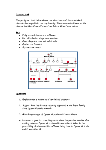 Haemophilia - interpreting the results of a Royal Family pedigree