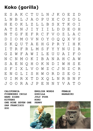 Koko (gorilla) Word Search