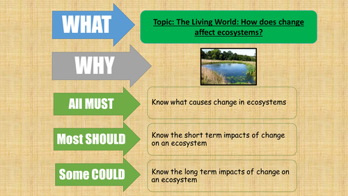 AQA 2016- The living world - A small scale ecosystem