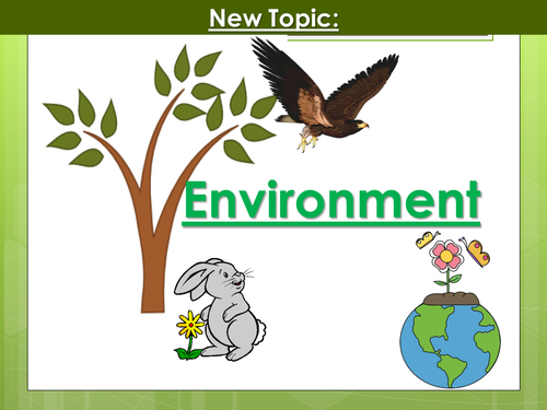 Year 8 Environment UNIT Resources