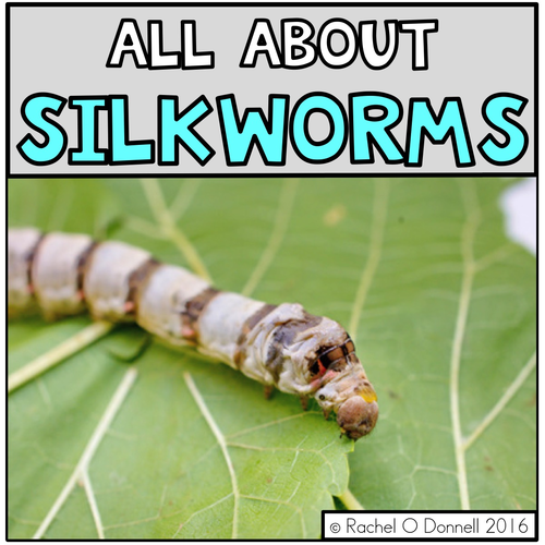 All About Silkworms Teaching Resources