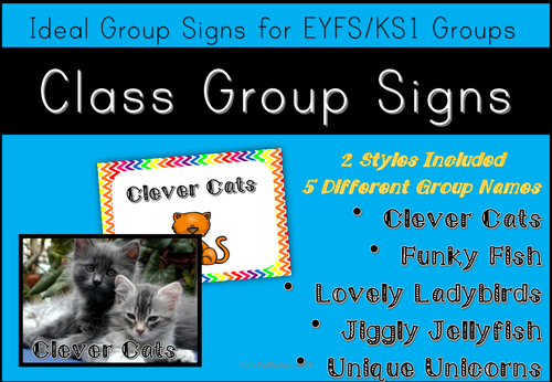 Fun Class Group Signs for Tables/Reading/Group Work (EYFS/KS1)