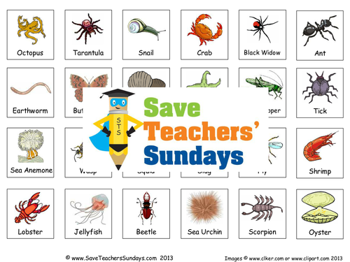 Classifying Invertebrates KS2 Lesson Plan and Worksheet by