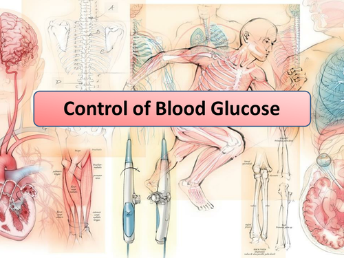 New AQA GCSE Biology Controlling Blood Glucose Lesson