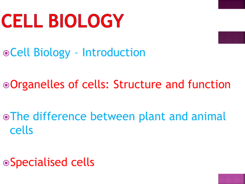 Cells: 7 RESOURCES for A Level Biology and similar courses