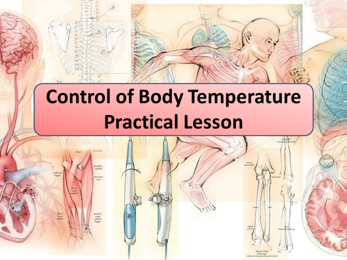 AQA GCSE Biology The Effect of Wind on Sweating Practical Lesson