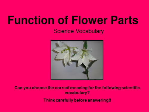 Function of a Flower Quiz and Assessment PowerPoint