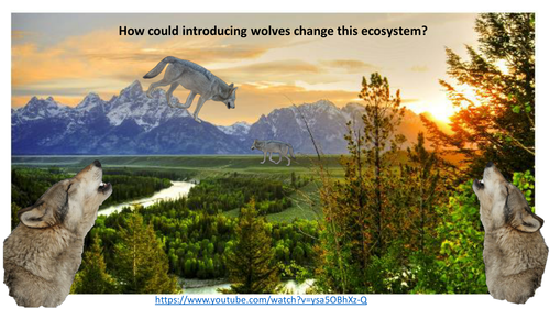 Ecosystem change