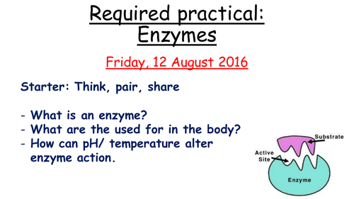 Enzymes required practical- New AQA GCSE Biology