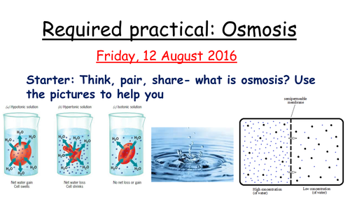 Osmosis required practical- New AQA GCSE Biology ... hypertonic solution diagram 