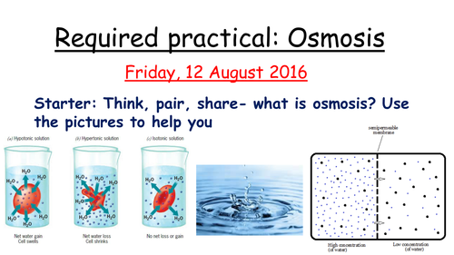 Osmosis required practical- New AQA GCSE Biology