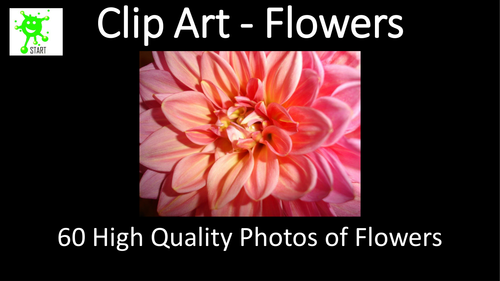 Clip Art - Flowers