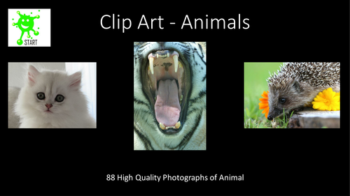 Clip Art - Animals