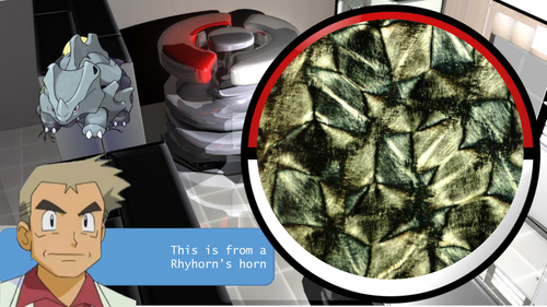 Pokemon Science - Cells Under a Microscope