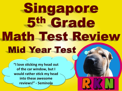 Singapore 5th Grade Mid Year Math Test Review (13 pages)
