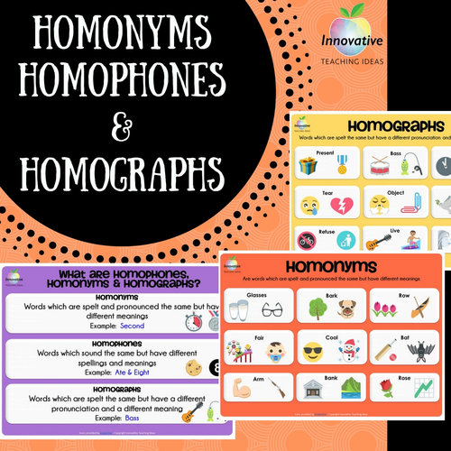 Homonyms, Homophones & Homographs Poster Series
