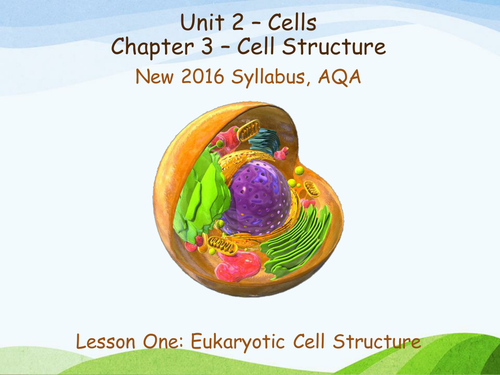 New AQA (2016) Year 1 Biology (AS) - Eukaryotic Cells - Flipped Learning