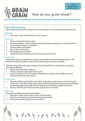 How do you grow wheat? Lesson plan