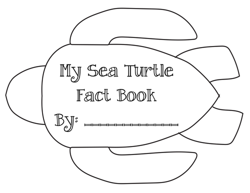 Ocean Unit: Sea Turtle Fact Book