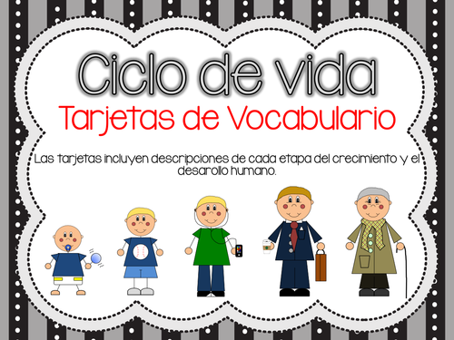 Human Life Cycle Vocabulary Cards Spanish Version