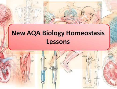 AQA Homeostasis & Response  Section Lessons