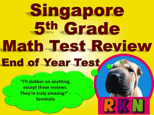 Singapore 5th Grade End of Year Math Test Review (19 pages)