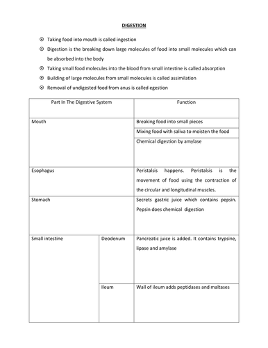 IGCSE/GCSE BIOLOGY - DIGESTION