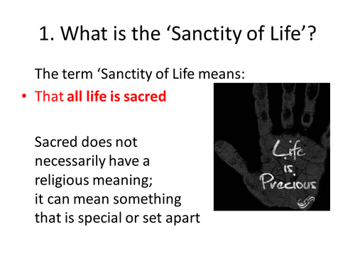 Sanctity of Life Information PPT for individual work or group work