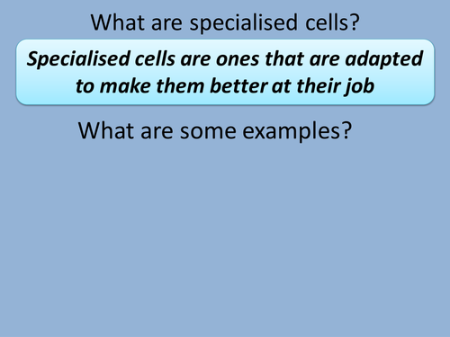 Differentiated specialised cells lesson