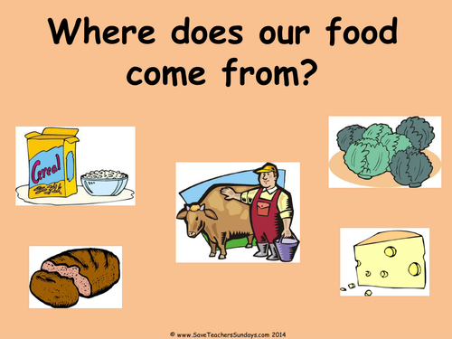 Where Our Food Comes From KS1 Lesson Plan and Resources