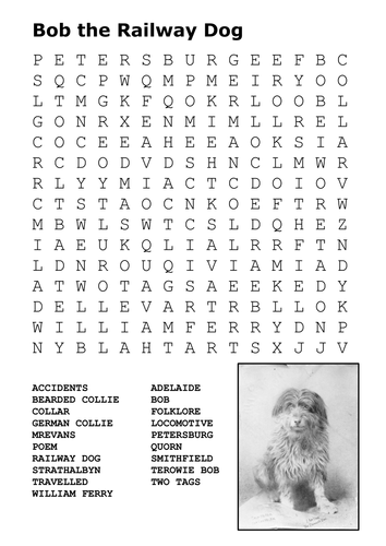 True Dog Stories Word Search Pack