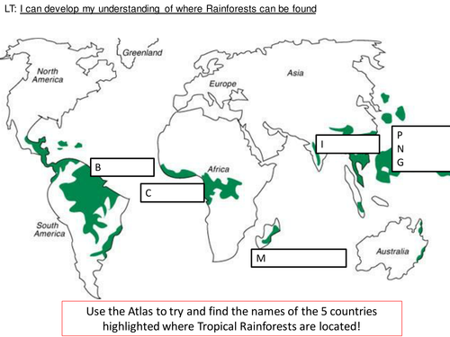 4 way differentiated Rainforests of the world atlas/map skills activity sheets