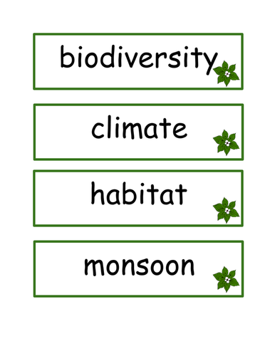 Rainforest Key Words for Display