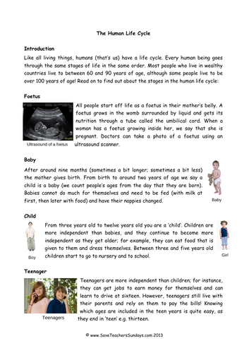Human Life Cycle  KS2 Lesson Plan, Explanation Text and Worksheet