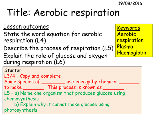 B2 2.5 Aerobic respiration
