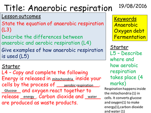 B2 2.6 Anaerobic respiration