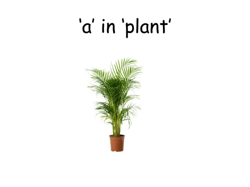 A as in Plant