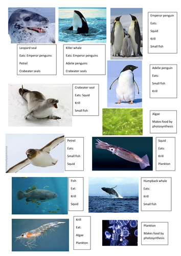 NEW AQA GCSE GEOGRAPHY - The Living World Lesson 1: Introduction to Ecosystems